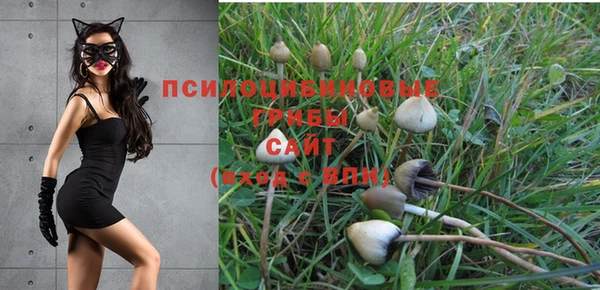 прущая мука Верея
