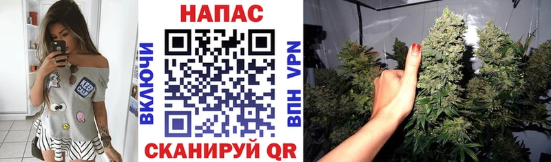 Шишки марихуана индика  где купить наркотик  Семёнов 